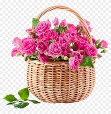 Basket of fruit variety of flowers basket of deplorables basket of bread bunch of flowers bouquet of flowers vase of flowers kinds of flowers beautiful basket of flowers. Pink Rose In Basket Png Pink Rose Flowers Clipart 753507 Pikpng