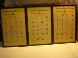 Each poster celebrates a particular destination and serves as a promotion for a specific leland fly rod model. Vintage Set Of 3 18 Framed Sportsman S Guide Fly Fishing Tied Flies Art Poster Ebay