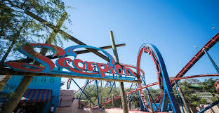 Ride Scorpion At Busch Gardens Tampa Bay Busch Gardens Tampa Busch Gardens Tampa Bay Roller Coaster