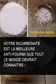 Votre Bicarbonate Est La Meilleure Anti Fourmi Que Tout Le Monde Devrait Connaitre Bicarbonate Monde Meilleur Connaitre Insecticide Condiments