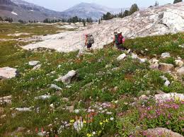 Big mountains, big trees, big outdoors, big everything. Best Campgrounds In Jackson Hole Yellowstone And Grand Teton Jackson Hole Wy