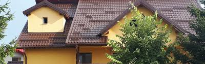 Top 10 avantaje ale acoperișurilor din țiglă metalică. Care Este Cea Mai Buna Tigla Metalica Specialistii Nostri Raspund