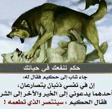 اذا تقاتل ذئب الخير وذئب الشر فيك من سينتصر حكم اقوال رمزيات Funny Arabic Quotes Wisdom Quotes Life Quotes For Book Lovers