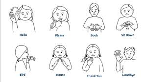 Bird In Sign Language For Toddlers Basic Classroom Makaton Signs Makaton Signs Sign Language Phrases British Sign Language