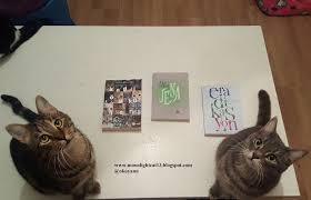 moonlightcat13 yitik ulke yayinlari kedi kitap