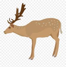 Find high quality reindeer clipart, all png clipart images with transparent backgroud can be download for free! Realistic Reindeer Clipart Transparent Background Deer Clipart Png Free Transparent Png Images Pngaaa Com