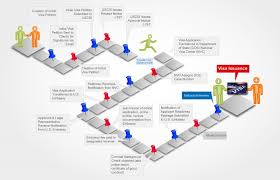 Immigration Flow Chart Legal Immigration Explained In One