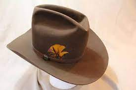 Vintage Resistol High Sierra Cowboy 3x Beaver Fur Felt Sorrel Etsy Western Hats Cowboy Hats Vintage