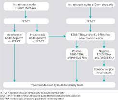 Lung cancer typically doesn't cause signs and symptoms in its earliest stages. Lung Cancer Diagnosis And Management Summary Of Updated Nice Guidance The Bmj