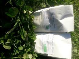 Des Farines Bio Locales Sans Gluten Kiwi Lentilles Du Gaec De La Souris Verte En Isere