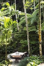 Nature Tropical Landscape Design Tropical Landscaping Landscape Design