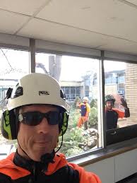 Profile for Arbor-Ops Tree Service