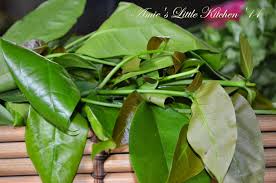 We did not find results for: Amie S Little Kitchen Godong So Daun Melinjo Masak Lemak Putih