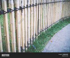 Fence panels └ garden fencing, privacy screens & gates └ yard, garden & outdoor living └ home & garden all categories food & drinks antiques. Bamboo Fence Japanese Image Photo Free Trial Bigstock