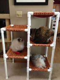 Idees Sympa Pour Amenager Une Chatterie Refuge Page 2 Hamac Chat Maison De Chat Mobilier Pour Chat