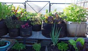 We've had our 20' sunroom/greenhouse up for 3 1/2 years with constant problems with leaks, panels popping through, etc.it's been a lot of work to keep it dry in there. Rion Greenhouse Experience