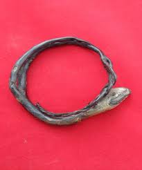 Gelang Akar Bahar Hitam Akar Bahar Banyak Sekali Terdapat Di Daerah Maluku Dan Sekitarnya Ia Merupakan Semacam Tumbuhan Yang Hidup Diantara Amber Mantra Hidup