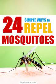 24 Simple Ways To Repel Mosquitoes Mosquito Repellent Mosquito Repellent Homemade Indoor Mosquito Repellent