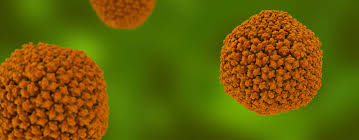 Hpv 2019 Symptoms Transferability Prevention Hygiene In Practice