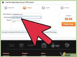 Planı free olarak seçin ve gerisini dilediğiniz şekilde doldurun. How To Get Free Minecraft Server Hosting Using Vps Me