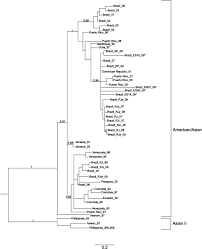 The flip is stormed with title track 'semillero' whilst hearts, minds and imaginations are set to be inspired with their versioning of 'habu raminibu' which is a. Phylogenetic Tree Of Denv 2 American Asian Genotype Dengue Virus Gene Download Scientific Diagram