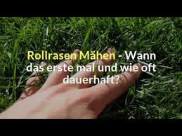 Grundlegend wird zwischen dem zierrasen und nachdem sie das erste mal im jahr ihren rasen gemäht haben, ist die zeit perfekt, um den rasen zu vertikutieren. Rollrasen Mahen Wann Das Erste Mal Und Wie Oft Dauerhaft Youtube