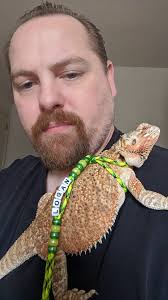 Toothless and Light Fury Tattoo Designs in How to Train Your Dragon Fan Club