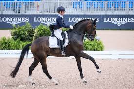 Select from premium juliette ramel of the highest quality. Buriel K H Juliette Ramel Photo By Annan Hepner Sweden 2 Ps Dressage