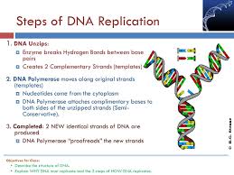 An atom or group that donates electron density to neighboring usually electron donating groups will. Bio 9b Tuesday Title Dna Structure Function Ppt Download