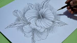 Hibiscus Flower Pencil Drawing Diy Tutorials Angel Arts Step By Step For Beginners Youtube Colored pencil drawing tropical flowers hibiscus and leaves set. hibiscus flower pencil drawing diy tutorials angel arts step by step for beginners