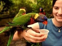 Travailler au grand air est naturellement plus agréable que rester. Comment Choisir Son Metier Animalier Et Sa Formation