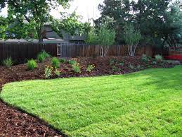 We did not find results for: How To Rescue Flood Damage Plants In Your Garden