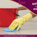 كيفية التخلص من الحشرات الطائرة الصغيرة Flying Insects Dammam