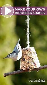 3 cups bird seed mix. Watch Our How To Video To Make These Homemade Birdseed Treats Birds Birdfeeder Gardenproject Howtovide Homemade Bird Feeders Bird Feeders Bird Feeder Craft