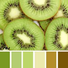 Kiwi Food Drink Yagody Kivi Frukty