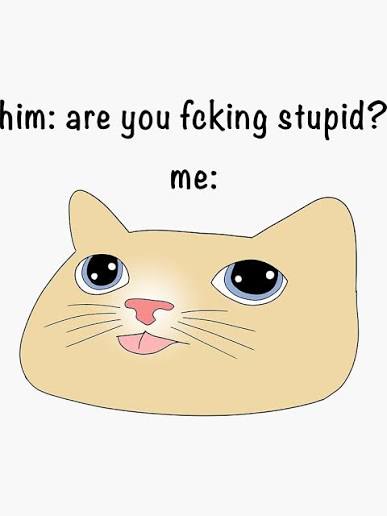 Bist du verdammt dumm - Meme Sticker