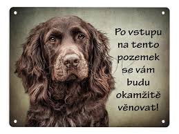 Image result for německý křepelák postava