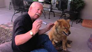 She also has cancer and i'm. Pets And Colloidal Silver The Silver Edge