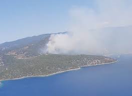 Satılık tarla 526 m 2. Son Dakika Mugla Milas Cokertme Koyu Nda Orman Yangini Cikti Galeri Takvim