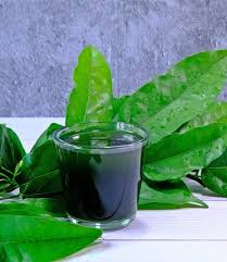 Image result for Tiliacora