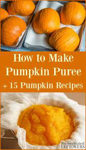 These Pumpkin Recipes Include Everything From Breakfast To Dessert Plus Instruction On How To Mak Pumpkin Recipes Homemade Pumpkin Puree Pumpkin Puree Recipes