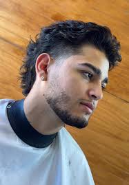 Richard Rios Hairstyle with Mid Fade