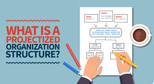 What Is A Projectized Organization Structure Pm Study Circle