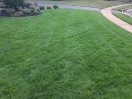 How long should i keep my pets off of the lawn after if you have pets, i wouldn't use the weed killer kind any more, but if you must, it will say on the bag how long to keep pets off the lawn. Best Time To Fertilize Lawn Before Or After Rain Jonathan Green