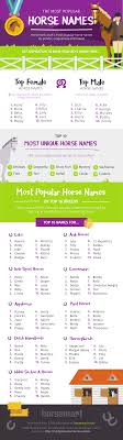 Babycenter is committed to providing the most helpful and trustworthy pregnancy and parenting information in the world. 23 H Names Ideas Names Horses Horse Names