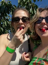 a little bit of this and that