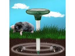 Image result for plašič krtků z pet lahve