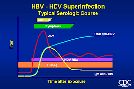 Hepatitis delta is a disease with a significant impact on global health, which may affect up to 20 million people worldwide. Hepatitis D Virus