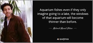 The aquarium must be to the dolphins what a field of simple grass is to us. Mehmet Murat Ildan Quote Aquarium Fishes Even If They Only Imagine Going To A