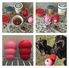 We did not find results for: How To Entertain Your Dog With Vital Essentials Mini Nibs A Kong K9sovercoffee Dog Treats Homemade Recipes Healthy Dog Chews Dog Food Recipes